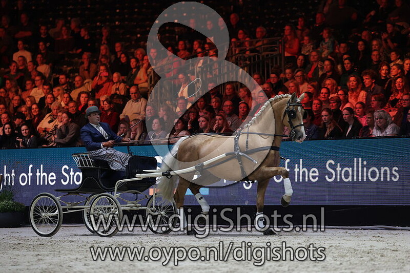 Hengstenhouderij Marcel van Bruggen