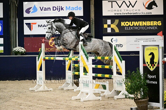 Kasey Ament - Noble Marschal