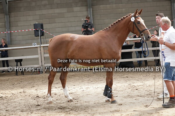 5 Obviously BF (I'm special de Muze x Mure du Fraigneau v. Narcos II)