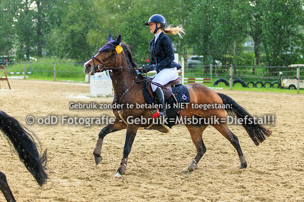 CH Manege Sintels Pony 100 cde 19-05-24