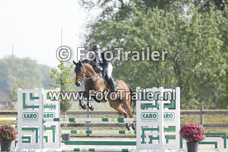 fabienne lichtenvoort cats