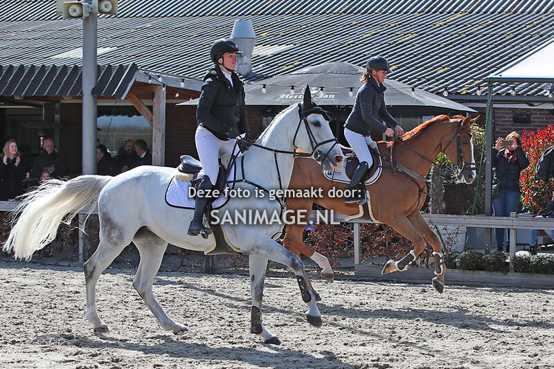 Anemone Super Spring Series Houten 09-04-2022 1.40m