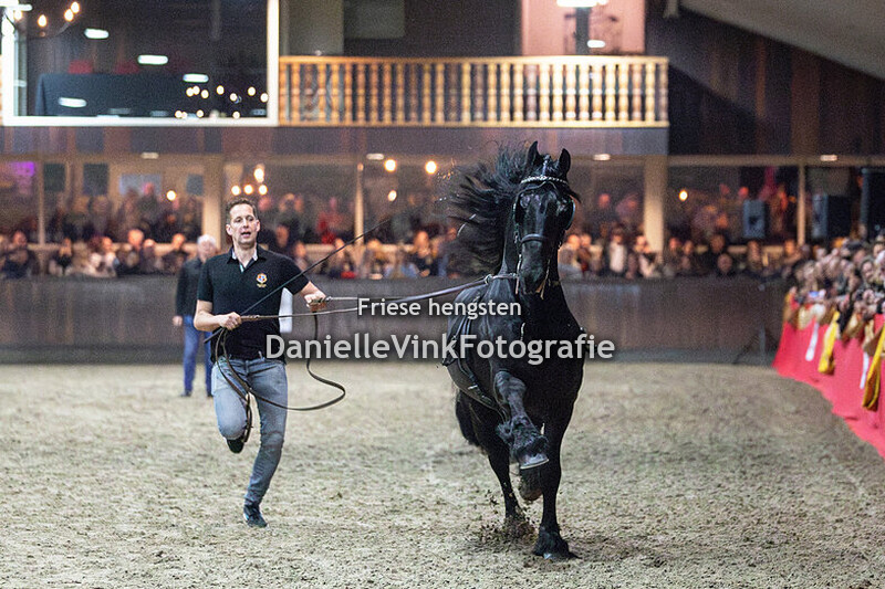 Hengstenshow Lunteren 22-02-2025 Maurus 441