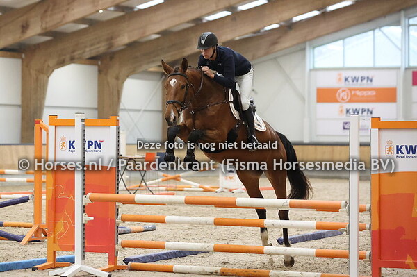 21 Sjiepardie LB (Numero Uno x Gupardie v. Carrera VDL)