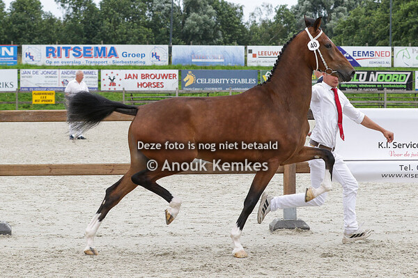 040 - SIMONE GSM NEON GSM X ATLEET R.H. SEINEN, PUNTHORST