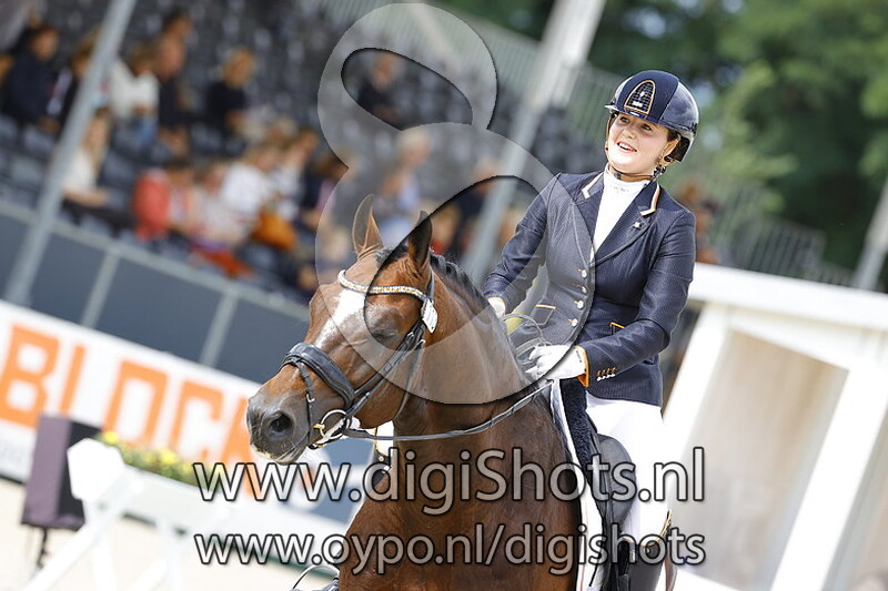 King van het Haarbosch