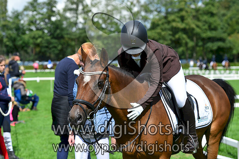 Ring 7 Dressuur B cat C