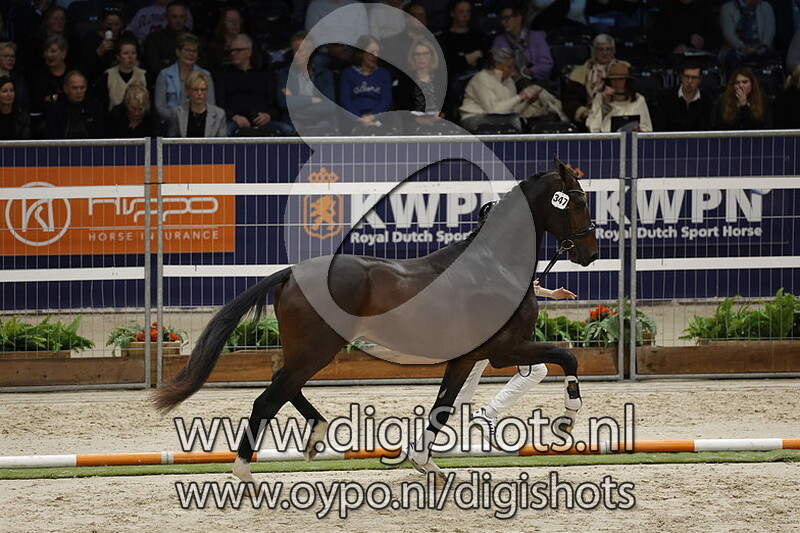 Rawhide v. Ferguson - 347