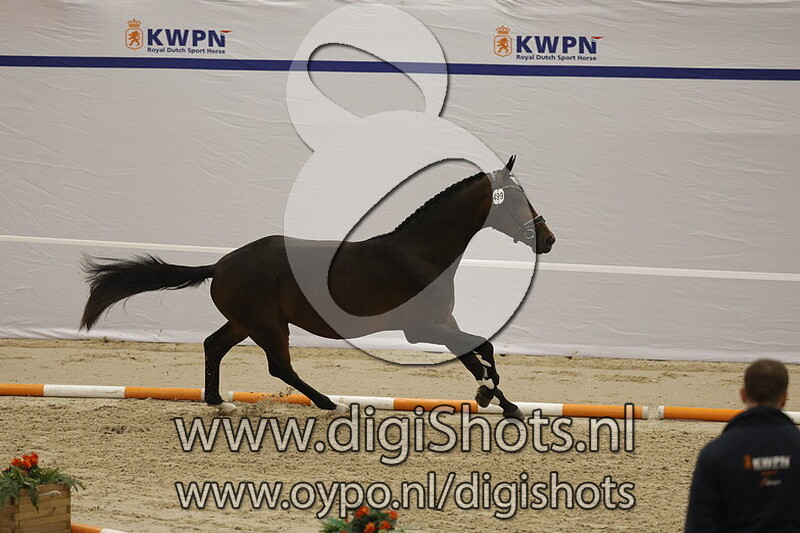 Sundance's Whisper v. So Perfect