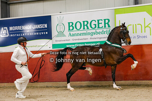 ijsselmuiden oefenavond jonge hengsten 2025