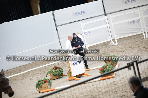 397 Frederic (For Romance x Riana v.  Fidertanz)