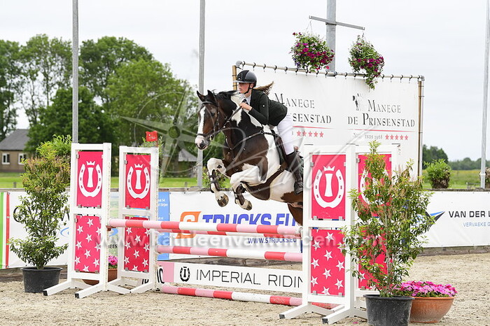 Ilse Vedder - L. Anemone's Lajoy