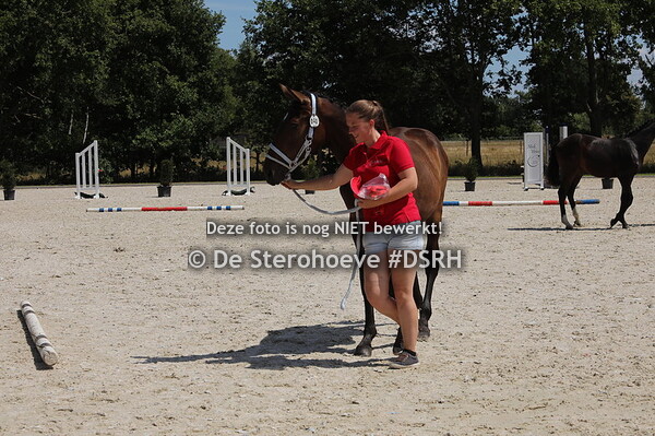 9. jaarlingen springen