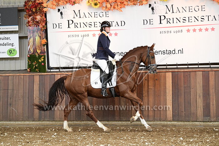 Denise van der Panne - Oportunity