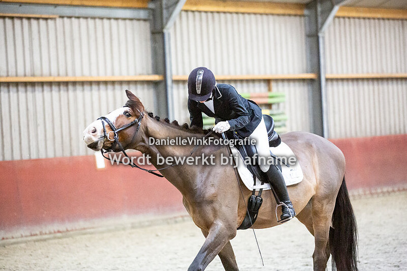 B paarden (zaterdag)