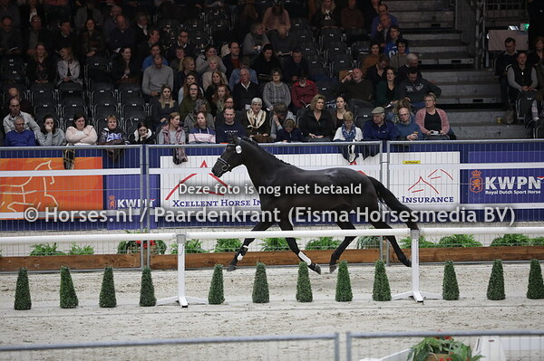 519 Magic Black (Morricone x Florinaduna v. Wynton)