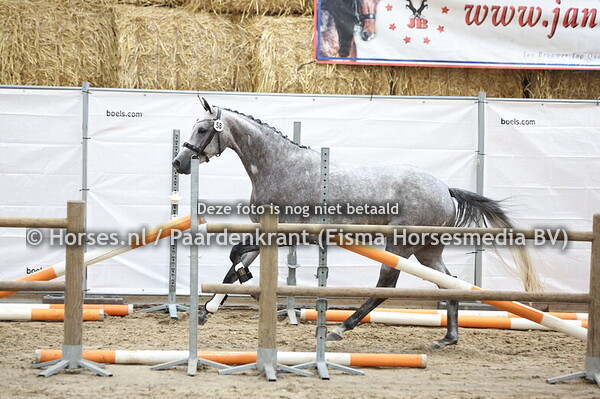 58  Rozensterina (Livius x Morgensterina v. Incognito)