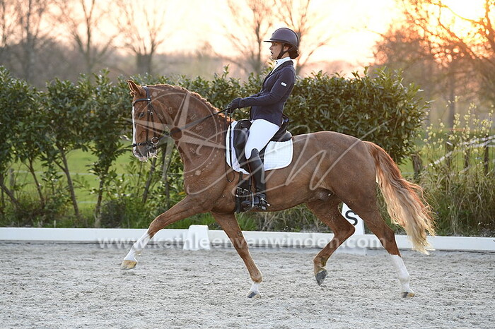 Stephanie Hekelen - Charming Jester