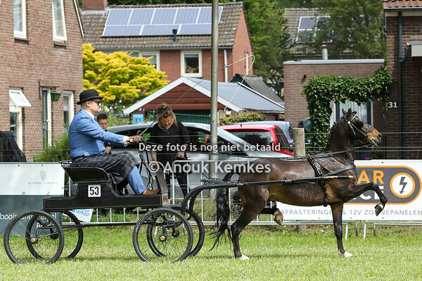 Hackney Kleine Limiet