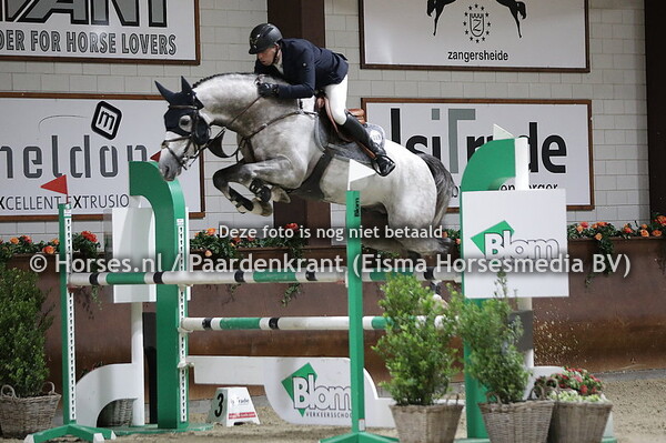 King Blue (v. Zirocco Blue) Marco Sas