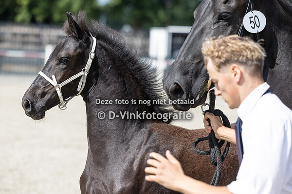 50. Eycke van Stal den Broecke