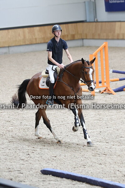 14 Solainetaire (Donthargos x Gino)