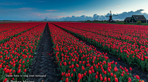 ZONSONDERGANG_BRAAK EN WEEL_16APRIL2024