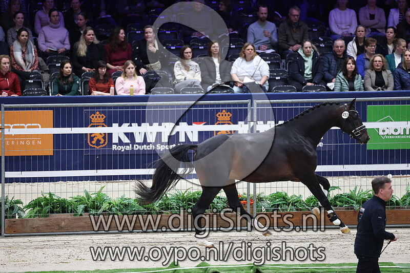 Sinbad v. My Blue Hors Santiano