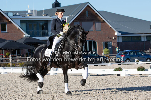 Ykje Baron - Jitze fan Bronny Friesians
