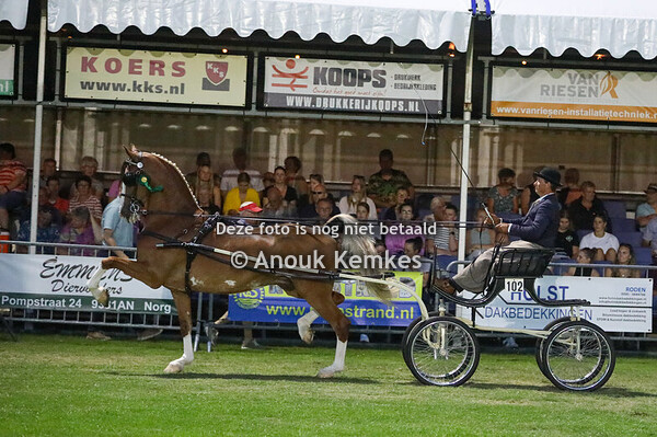 Nationaal - TP Schuttert/Vert Competitie