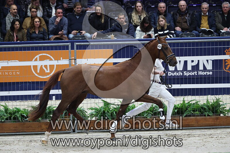 Sempre Fidelio v. Kyton