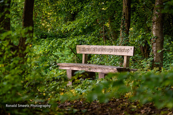 Imagine Limburg (limburg.photo)