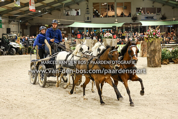 Finale vierspan paard