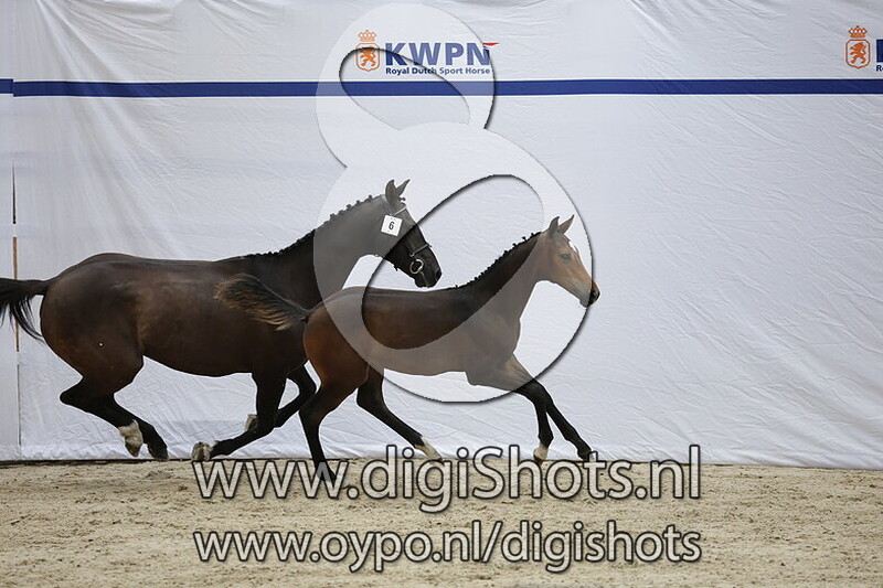 Valentino vd Zeijerweg v. Luigi vd Zeijerweg