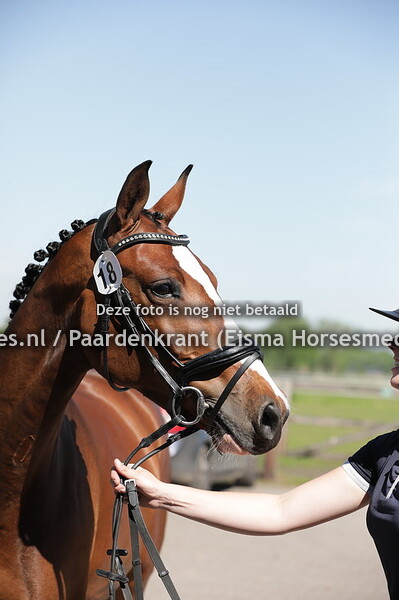 18 Inverness (Ultimo x Zerna II v. Quasimodo Z) Tess Beumer