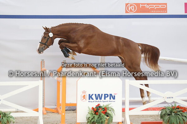 141 Poker de Latif (Latif V S x Cancari v.Cancara)