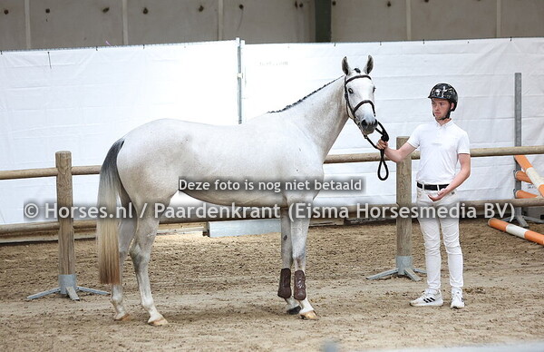 125 Rulana (Zirocco Blue x Ulana VIII v. Nekton)