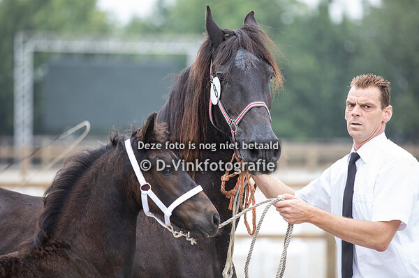 08. Siebe van de Donk