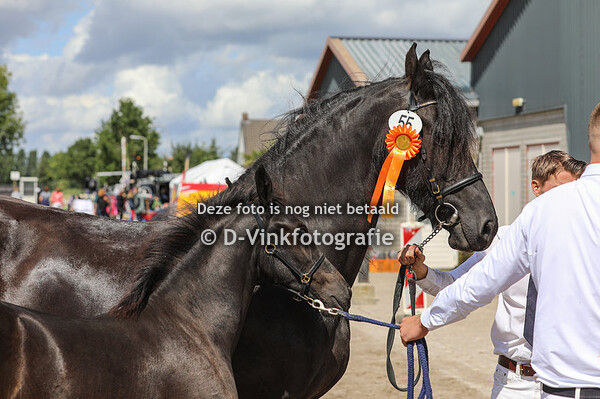 55. Yente van de Broekstraat