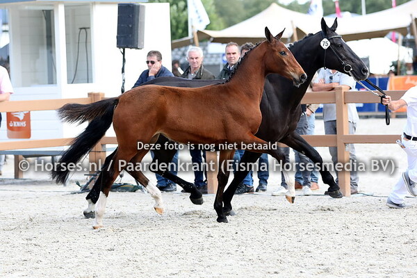 75 Oranjebitter (Heineken VK VDL x Violetta v. Indoctro)