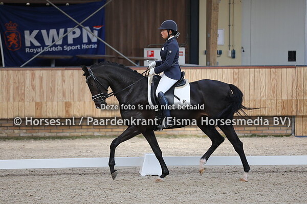 10 Lavida Springflower