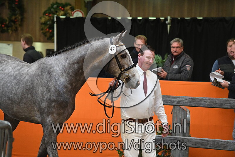 Mattias v. v. Comme il Faut