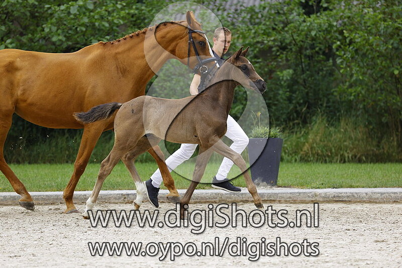 Kaiser Weltino x Daddy Cool