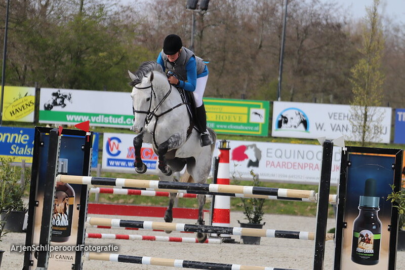 Tolbert 11-04-2019 Paarden Z/ZZ