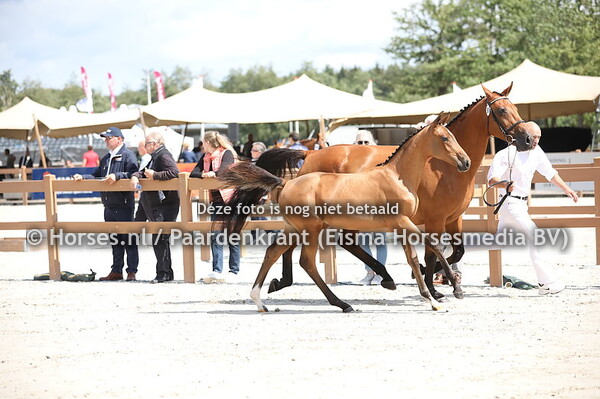 91 Of Street EB (Jack Daniels EB x Zapatero v. Cascavelle)