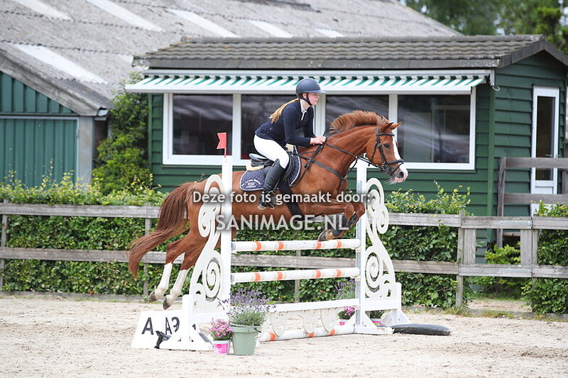 Zilfia's Hoeve Springen Pony's 07-07-2024 100 cm