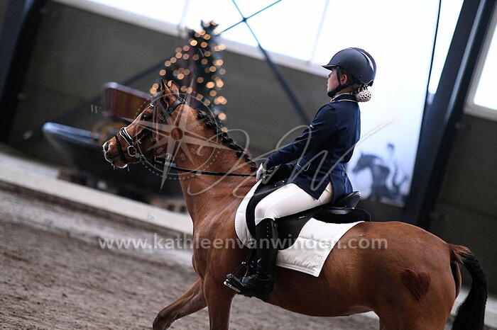 Klasse B pony's en Bixie