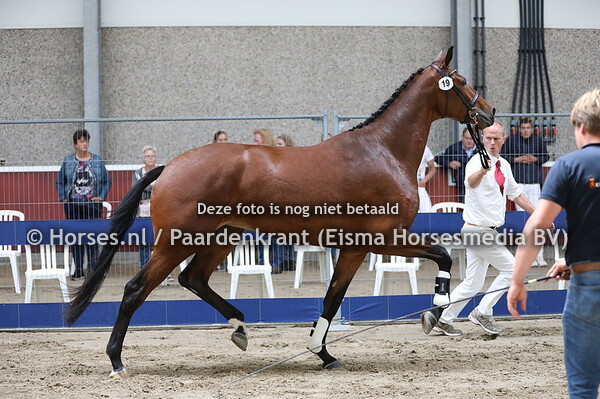 19 Matthiola v Franklin