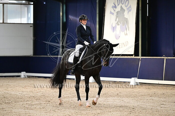 Maartje Wijngaard - Fortunato