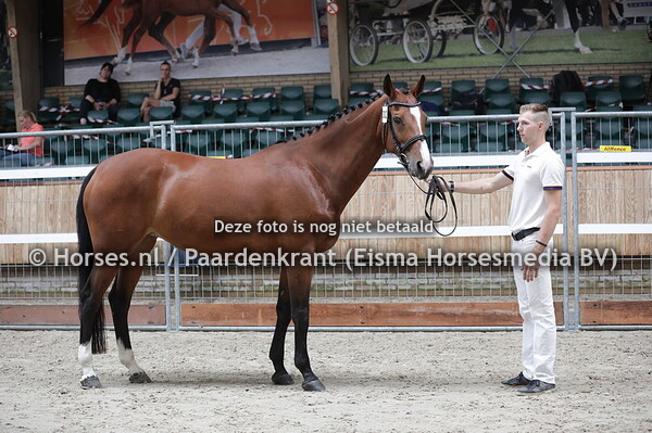 302 Florance (Lupiocor x Wisper v. Numero Uno)